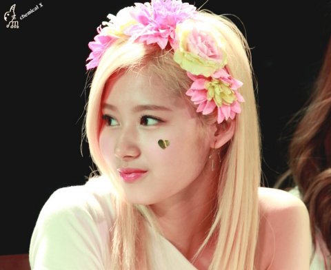 صورة سانا من توايس أصبحت الآلهة الجديدة في المواقع ذات الأغلبية الذكورية