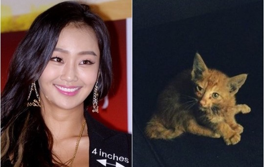 صورة [رأي مستخدمي الإنترنت] هيورين تنقذ قطة ضالة بالرغم من جدولها المزدحم