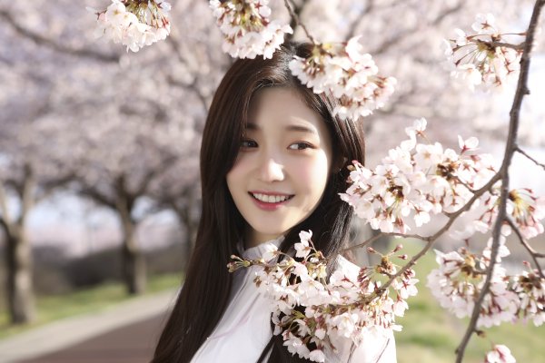 صورة ديا أصدرن أغنية تروت مسبقة الإصدار “أنت زهرتي”