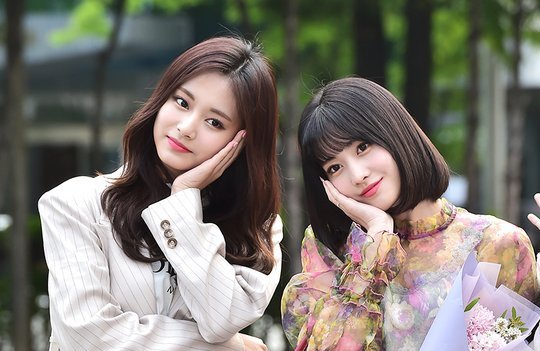 صورة رأي مستخدمي الإنترنت في جمال تزويو ومومو خارج بروفات الميوزك بانك