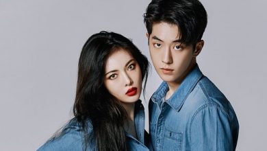 صورة رأي مستخدمي الإنترنت في جلسة تصوير هيونا مع نام جو هيوك