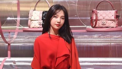 صورة رأي مستخدمي الإنترنت في مظهر جوي من حدث “فالنتينو”