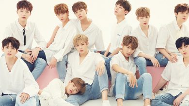 صورة واناون يهدفون للعودة في شهر نوفمبر بآخر ألبوم لهم