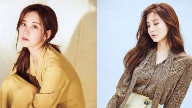 صورة سيوهيون طلبت من الصحفيين أن يتوقفوا عن وصفها بعضوة سنسد السابقة