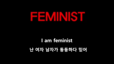 صورة تعليقات الكوريين على أغنية “نسوي” التي أصدرها الرابر San E والتي تنتقد توجه الحركة النسوية في كوريا