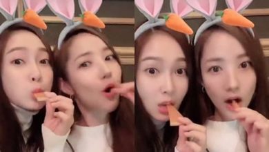 صورة رأي مستخدمي الإنترنت في صورة جيسيكا وبارك مين يونغ معا