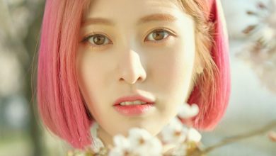 صورة [الآراء] ييبين من ديا ردت على تعليق بغيض يقارن بين شعبيتها المنخفضة وشعبية توايس الضخمة