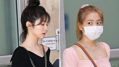 صورة رأي مستخدمي الإنترنت في إطلالة إيرين وييري الكاجوال في المطار