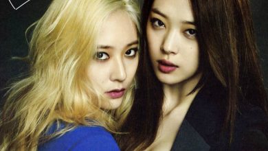 صورة كشفت التقارير أن كريستال كانت حاضرة في جنازة سولي طوال الأيام الثلاثة الماضية