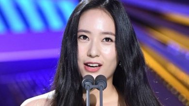 صورة رأي مستخدمي الإنترنت في إطلالة كريستال من حفل جوائز أفلام التنين الأزرق لعام ٢٠١٩