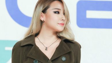 صورة وكالة YG الترفيهية أكّدوا أن CL لن تقوم بتجديد عقدها الحصري معهم