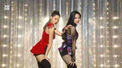 صورة رأي مستخدمي الإنترنت في آداء سولهيون وتزويو + آداء هواسا وتشونغها التعاوني في حفل SBS الـ غايو دايجون ٢٠١٩