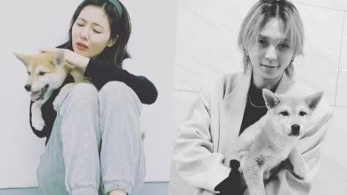 صورة [الآراء] هيونا وداون أنقذا كلب ضال وتبنياه معا