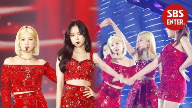 صورة رأي مستخدمي الإنترنت في آداء فرقة آي بينك في حفل SBS الـ غايو دايجون ٢٠١٩