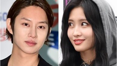 صورة رأي مستخدمي الإنترنت في تأكيد كيم هيتشول ومومو لعلاقتهما