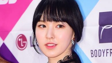 صورة رأي مستخدمي الإنترنت في حقيقة أن ويندي ما تزال ترقد في المستشفى بعد شهر من حادثة سقوطها