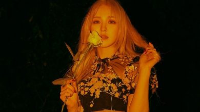 صورة كشفت التقارير أن الشرطة بدأت التحقيق مع قناة SBS في الحادثة التي تعرّضت لها ويندي على مسرح حفلهم