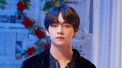 صورة [الآراء] معجبة مهووسة “ساسينغ” قامت بتسريب معلومات جواز سفر V من بنقتان