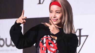 صورة [الآراء] نظرة على اختيارات سولار الفريدة من نوعها في الموضة