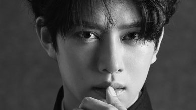 صورة هيتشول رد غاضبا بعد أن انتقد صحفي تعليقاته عن الراحلتين سولي وقو هارا