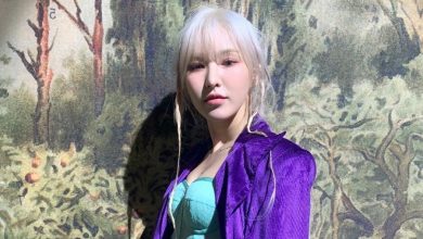 صورة وكالة SM الترفيهية أكّدت خروج ويندي من المستشفى بعد تحسّن صحتها كثيرا