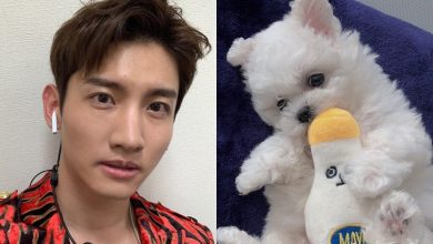 صورة [الآراء] تشانغمين عضو فرقة TVXQ واقع في غرام جروه الجديد