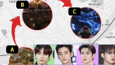 صورة رأي مستخدمي الإنترنت في تقرير ديسباتش بخصوص زيارة جونغكوك، تشا أونوو، جايهيون، ومينغيو لمنطقة إيتايوون وعدم تقيدهم بإرشادات التباعد الاجتماعي