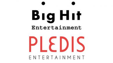 صورة تقارير استحواذ وكالة بيغ هيت على وكالة بليديس عادت للسطح مجددا + رد الوكالتين على هذه التقارير