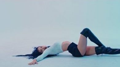 صورة رأي مستخدمي الإنترنت في تحول ساقي ليسا من بلاكبينك إلى ميم مشهور جدا