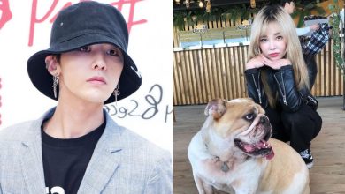 صورة معجبات جي دراغون هاجمن الرابر KittiB لانتقادها الحالة المزرية التي كان عليها كلبه والتي تُظهر بأنه يتعرض للإهمال