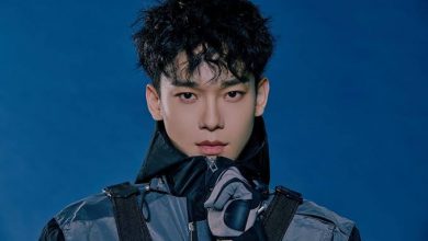 صورة رأي مستخدمي الإنترنت في بدء الـ EXO-L ACE حملة لجمع أموال من أجل عرض إعلانات في الصحف تطالب بخروج تشين من الفرقة