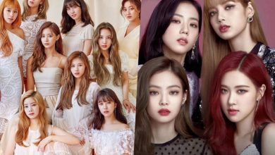 صورة قناة فرنسية تعرّضت للانتقاد بعد أن قارنت بين بلاكبينك وتوايس وانتهى بها الحال بإهانة توايس ووصفها بالفرقة الغير متميزة