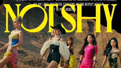 صورة رأي مستخدمي الإنترنت في عودة إتزي بأغنية Not Shy