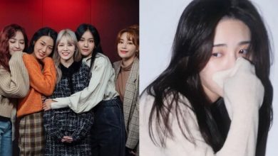 صورة تم الكشف عن تعليقات يُقال بأن مينا كتبتها مؤخرا حين كانت تدردش مع معجبيها، تحدثت فيها عن سولهيون، تشانمي وبقية العضوات