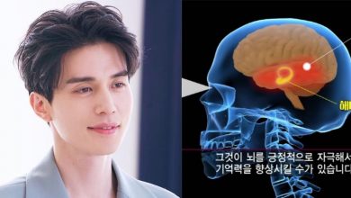 صورة دراسة كورية تقول أن نظر النساء إلى الرجال الوسيمين تحسّن من ذاكرتهن ومن وظائف المخ