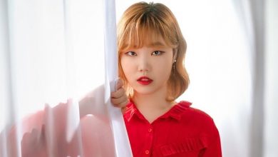 صورة كشفت التقارير أن لي سوهيون عضوة فرقة الأخوين آكمو ستبدأ انطلاقتها المنفردة قريبا