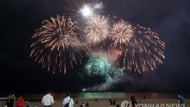 صورة رأي مستخدمي الإنترنت في احتفال الآرمي الصيني بعيد ميلاد جونغكوك من خلال تقديم عرض ألعاب نارية ضخم على شاطئ هايونداي بمدينة بوسان